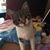 Linda Hull Elness's profile image