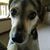 Starr Lynn Vogel's profile image