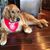 Kim Davidson Kenney's profile image