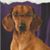 Gretchen Felix's profile image