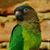 Fabiana Valecillo's profile image