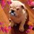 John Davidson's profile image