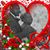 Joshua Chapman's profile image