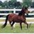 Linda Pawlowski's profile image