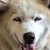 Debbie Crawford McCollough's profile image