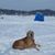 Jay Paulowske's profile image