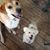 Chrissy Kotsch Ashley's profile image