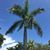 Debbie Camp's profile image