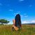 Maryjane Mayagma's profile image