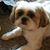 Kimberly Strickland's profile image