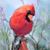 Janis Hannon's profile image