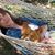 Nanci Damberg's profile image