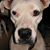 Rebecca Johnson-Wolfinger's profile image