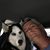 Steve Sherfy's profile image
