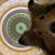 John Hatch's profile image