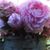 Jody Samson's profile image