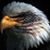 Jerry Casida's profile image