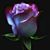 Tracy Ricks's profile image