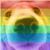 Cat Banguis's profile image