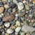 Nitin Rao's profile image