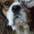 Mariann Groeling's profile image
