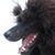 Susan Hill's profile image