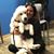 Cessa Andrews-McMullen's profile image