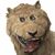 James Andrew Lowther's profile image