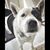Rachel Laymon's profile image