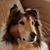 Suzy L. Schneider's profile image