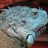 RANDALL W.'s profile image