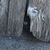 Rita Steed-Ross's profile image