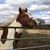 Jane Cullum's profile image