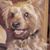 Chastity Kolar's profile image