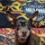 Lisa Bailey's profile image