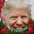 Thomas Shaffer Hollis's profile image