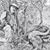 Claude Trincale's profile image