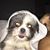 Janel Turley-Garner's profile image