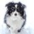 GiGi Wright's profile image