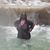 Trina Randle-Cook's profile image
