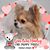 Sue Repash's profile image