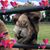 Jennifer Bellon Hartwig's profile image