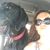 Candice Wade's profile image