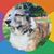 Judi M Lynch's profile image