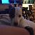 Gary Lee Nangle's profile image