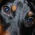 Christina Terry's profile image