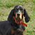 Candy Spencer's profile image