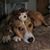Kathi Molter Cannon's profile image