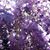 Sharon Schedler's profile image