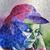 Donna B. Anastasi's profile image